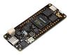 Embedded Daughter Boards & Modules - Arduino