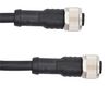 AMPHENOL LTW M12A12FL-12AFL-SD002.