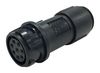BULGIN LIMITED PXP4011/06S/4550.