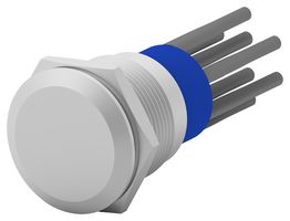 TE CONNECTIVITY - ALCOSWITCH AV1920EG12T5Q04 Vandal Resistant Switch, AV19 Series, 19 mm, DPST-NO, Off-(On), Flush, Natural